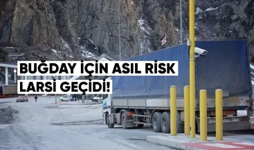 Buğday İçin Asıl Risk Larsi Geçidi
