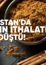 Gürcistan’da tarçın ithalatı sert düştü