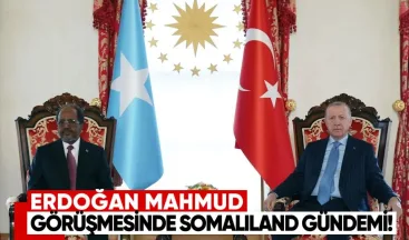 Erdoğan–Mahmud görüşmesinde Somaliland gündemi