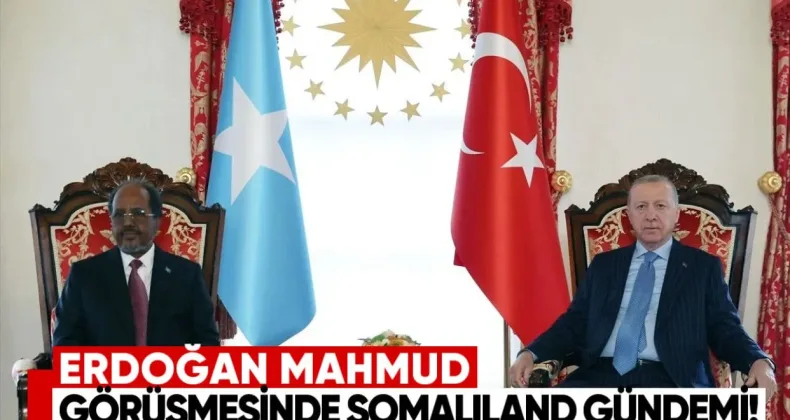 Erdoğan–Mahmud görüşmesinde Somaliland gündemi