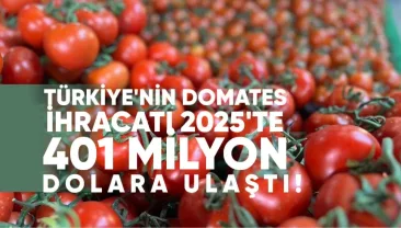 Türkiye’nin Domates İhracatı 2025’te 401 Milyon Dolara Ulaştı