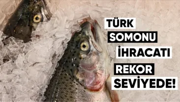 Türk Somonu İhracatı 2025’te Rekor Seviyeye Ulaştı