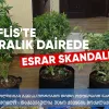 Tiflis’te Rus Vatandaşının Esrar Serası Baskını