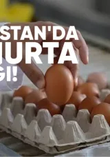 Gürcistan’da 2025’in sonunda raflarda yumurta kıtlığı