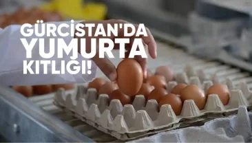 Gürcistan’da 2025’in sonunda raflarda yumurta kıtlığı
