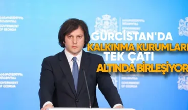 Gürcistan’da Kalkınma Kurumları Tek Çatı Altında Birleşiyor
