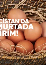 Gürcistan’da Yumurtada İndirim: Başbakan Kobakhidze’den Şirketlere Çağrı