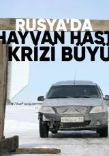 Rusya’da hayvan hastalığı krizi büyüyor