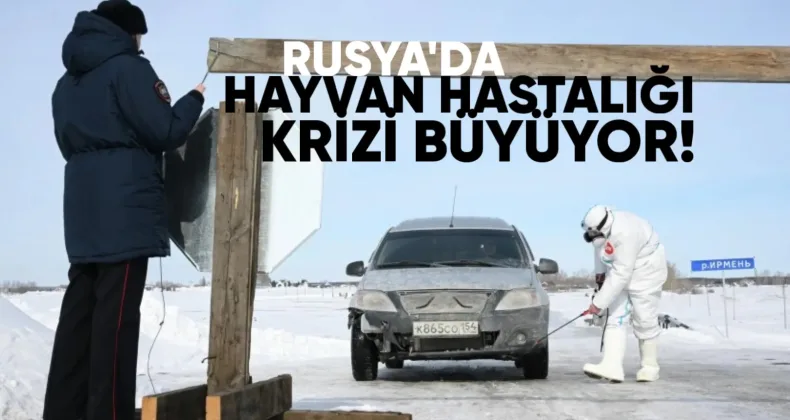 Rusya’da hayvan hastalığı krizi büyüyor