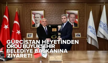 Gürcistan Heyetinden Türkiye’nin Ordu Büyükşehir Belediye Başkanı Hilmi Güler’e Ziyaret