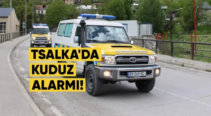 Tsalkada kuduz alarmı: Karantina ilan edildi