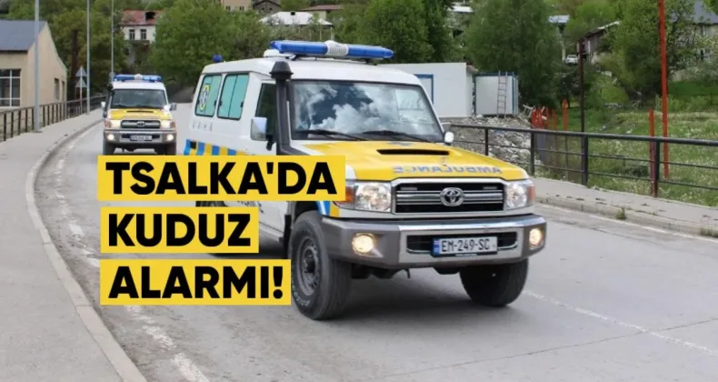 Tsalkada kuduz alarmı: Karantina ilan edildi