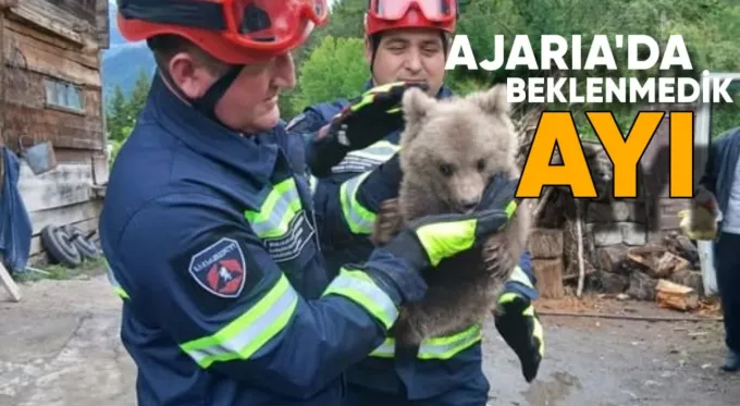 Ajaria’nın yüksek dağlık bölgesindeki bir köyün sakinleri, dün çok beklenmedik bir misafir ağırladı