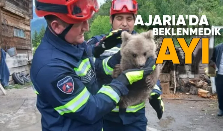 Ajaria’nın yüksek dağlık bölgesindeki bir köyün sakinleri, dün çok beklenmedik bir misafir ağırladı