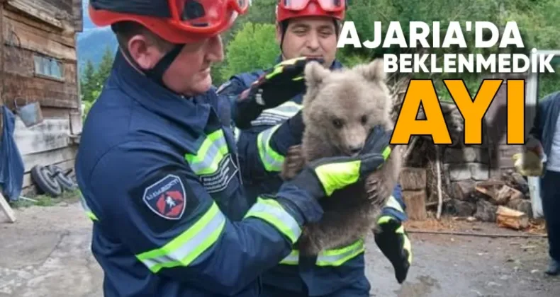 Ajaria’nın yüksek dağlık bölgesindeki bir köyün sakinleri, dün çok beklenmedik bir misafir ağırladı