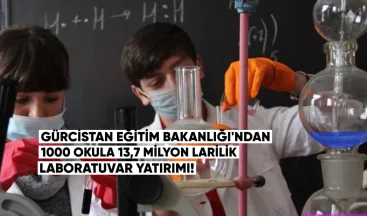 Gürcistan Eğitim Bakanlığı, 1000 devlet okulu için Yatırım Yapacak