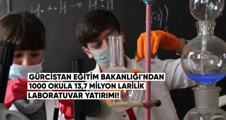 Gürcistan Eğitim Bakanlığı, 1000 devlet okulu için Yatırım Yapacak