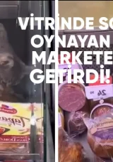 Dükkan vitrininde sosisle oynayan kedi para cezasına mahkum oldu