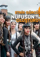 Etnik Gürcüler, Gürcistan nüfusunun %84,1’ini oluşturuyor