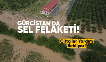 Telavi yakınlarında sel felaketi: Çiftçiler yardım bekliyor