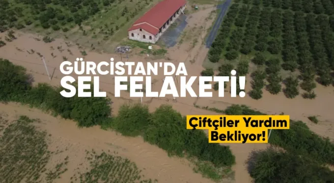 Telavi yakınlarında sel felaketi: Çiftçiler yardım bekliyor