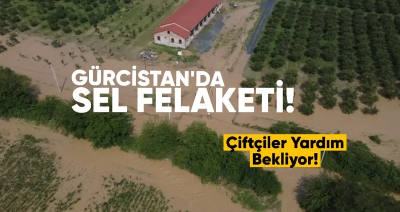 Telavi yakınlarında sel felaketi: Çiftçiler yardım bekliyor
