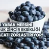 Mavi Yaban Mersini Üreticisi: Gürcistan’da Soğuk Zincir Eksikliği İhracatı Zorlaştırıyor