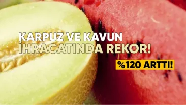 Gürcistan’dan karpuz ve kavun ihracatında rekor: %120 arttı