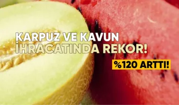 Gürcistan’dan karpuz ve kavun ihracatında rekor: %120 arttı
