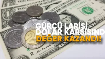 Lari, Dolar ve Euro Karşısında Değer Kazandı