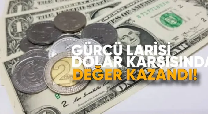 Lari, Dolar ve Euro Karşısında Değer Kazandı
