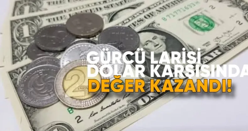 Lari, Dolar ve Euro Karşısında Değer Kazandı