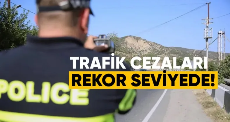 Gürcistan’da Sürücülerden Rekor Trafik Cezası: 8 Ayda 178 Milyon Lari