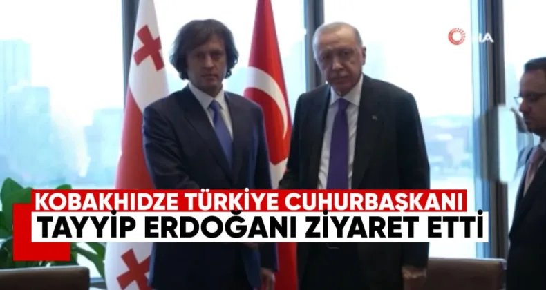 Kobakhidze Türkiye Cumhurbaşkanı Erdoğan’ı Ziyaret Etti