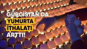 Gürcistan, yumurta ithalatını önemli ölçüde artırdı