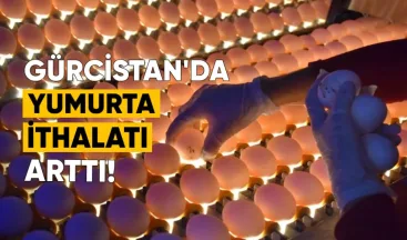 Gürcistan, yumurta ithalatını önemli ölçüde artırdı