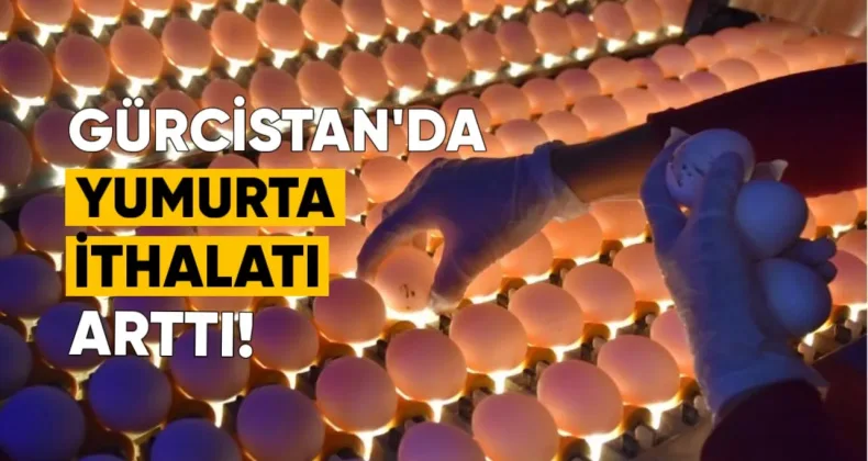 Gürcistan, yumurta ithalatını önemli ölçüde artırdı