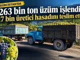 Gürcistan’da 263 bin ton üzüm işlendi: 17 bin üretici hasadını teslim etti