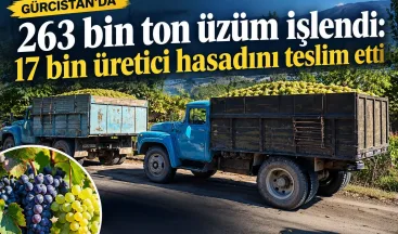 Gürcistan’da 263 bin ton üzüm işlendi: 17 bin üretici hasadını teslim etti