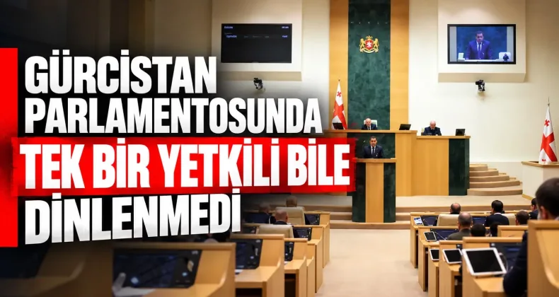 Gürcistan Parlamentosunda 3 Ay Boyunca Hiçbir Yetkili Komite Toplantısına Çağrılmadı